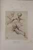 L Oeuvre de P.-V. Galland. La peinture decorative au XIXe siecle.. Havard, Henry