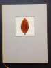 Tabago. A Picture-Book of Tobacco and the Pleasures of Smoking. Reemtsma, Bernhard