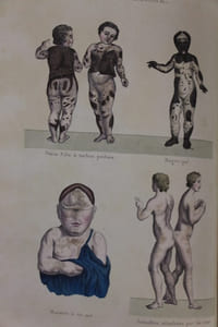 Oeuvres complètes avec des extraits de Daubenton et la classification de Cuvier.