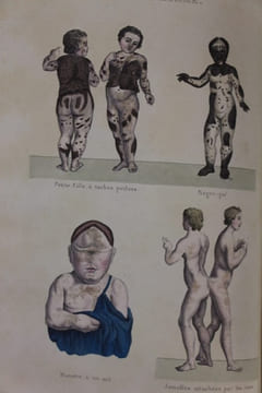 Oeuvres complètes avec des extraits de Daubenton et la classification de Cuvier.. Buffon (Georges-Louis Leclerc, Cte de)