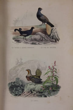 Oeuvres complètes avec des extraits de Daubenton et la classification de Cuvier.. Buffon (Georges-Louis Leclerc, Cte de)