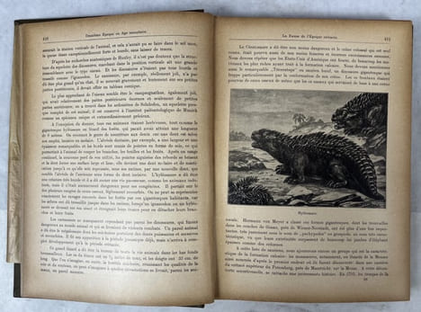 L'évolution de la Terre et de l'humanité : succession des âges, la formation du globe terrestre, l'évolution des êtres animées, de l'homme et des ...