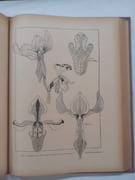 Les Arts de la Femme ; Encyclopedie Pratique. Orne de cent quatre-vingts planches et motifs appropries a chaque matiere dessines par les principaux artistes decorateurs par Emile-Bayard - Image 4