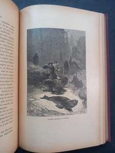 Les Naufragés, Ou Vingt Mois Sur Un Récif Des Îles Auckland (Neuvième édition). Illustré de 40 gravures par A. De Neuville