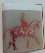 Propos sur des croquis équestres par Oliveira (Nuno) ; Sauvat (Jean-Louis) - Image 2