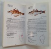 Les Poissons et la p&ecirc;che en M&eacute;diterran&eacute;e - La Corse en 2 volumes. Miniconi Roger