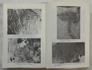 Les gravures rupestres de l’atlas saharien : monts des Ouled-Nail et région de Djelfa. Henri Lhote ; avec le concours du Père F. de Villaret par LHOTE, Henri - Image 3