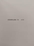 Contes de Perrault & du temps jadis (tome 2 uniquement). Illustrations et enluminures de Lucy Boucher par  - Image 5