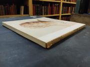 L'univers de Daumier par Claude Roger-Marx - Image 2