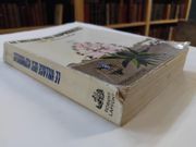 Le village des asphodeles - Récit par BOUMAHDI ALI - Image 2