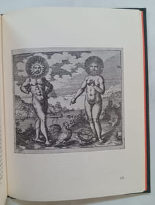 Erotique de l'alchimie