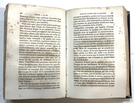 Dieu dans la nature. 17e édition. FLAMMARION, Camille