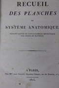  Recueil des planches du systeme anatomique, faisant partie de l'Encyclopedie Methodique par ordre de matieres par Encyclopédie méthodique - Image 2