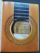 Guitares - Chefs-d'oeuvre des collections de France par Lesure (François) ; Bérard (Maurice) ;  Evans (Tom) - Image 5