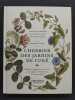 L'Herbier des jardins de cur&eacute; - &Eacute;dition illustr&eacute;e par des planches du XVIIIe si&egrave;cle : collection de plantes vivri&egrave;res, aromatiques, m&eacute;dicinales et ...