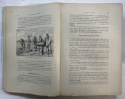 Les maladies des plantes, leur traitement raisonné et efficace en agriculture et en horticulture par BOURCART, Emmanuel - Image 4