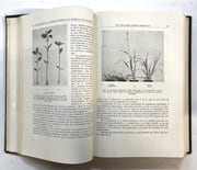 Agrobiologie par LYSSENKO, Trofim - Image 3