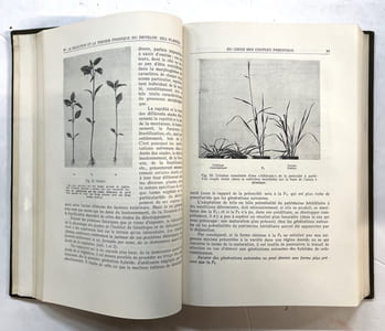 Agrobiologie
