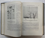 Théophraste Renaudot d’après des documents inédits par GILLES DE LA TOURETTE, Georges - Image 3