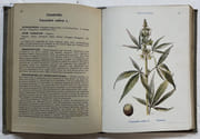 Les Plantes médicinales par EBERHARDT, Philippe - Image 3