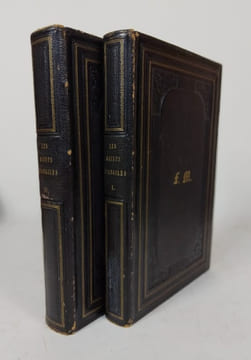 LES SAINTS EVANGILES. Traduits de la Vulgate par M l' Abbé Dassange. Illustrés par MM T Johannot , Cavelier , Gérard-Séguin et Brévière. 2 tomes. ...