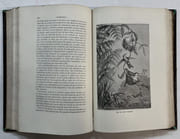 Les Oiseaux. 4e édition par FIGUIER, Louis - Image 4