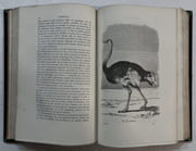 Les Oiseaux. 4e édition par FIGUIER, Louis - Image 5