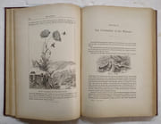 Les Arts et métiers chez les animaux. 8e édition par COUPIN, Henri - Image 5