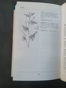 Dictionnaire Etymologique De Botanique. Comprendre Facilement Tous Les Noms Scientifiques  par François Couplan (Author)  - Image 2