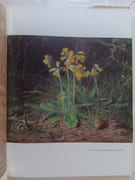 Jean-François Millet - Images et symboles (avec dédicace de l’auteur) par L. Lepoitevin - Image 4