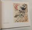 Visiones del Quijote - Hogarth, Dor&eacute;, Daumier, Picasso, Dal&iacute;, Pons, Matta, Saura.  Ram&oacute;n Andr&eacute;s (Author), Jos&eacute; Luis Gim&eacute;nez-Front&iacute;n (Author), Rosa ...