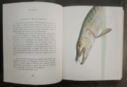 Bestiaire. Compositions originales en couleurs de Maurice Genevoix [3 volumes dont 1 volume de suite sous chemise]. édition établie par les soins de Guy-Victor Labat avec la collaboration de d'Eric de Saint Périer et de Chantal Coudray par GENEVOIX, Maurice - Image 4
