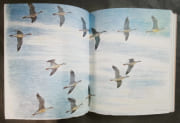 Bestiaire. Compositions originales en couleurs de Maurice Genevoix [3 volumes dont 1 volume de suite sous chemise]. édition établie par les soins de Guy-Victor Labat avec la collaboration de d'Eric de Saint Périer et de Chantal Coudray par GENEVOIX, Maurice - Image 5