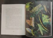 Bestiaire. Compositions originales en couleurs de Maurice Genevoix [3 volumes dont 1 volume de suite sous chemise]. édition établie par les soins de Guy-Victor Labat avec la collaboration de d'Eric de Saint Périer et de Chantal Coudray par GENEVOIX, Maurice - Image 9