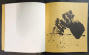 Maturare - L'esprit de la Montagne - Spirit of mountain. Oeuvres sur papier, études intimes / Works on paper, intimate studies - Illustrations de Fabienne Verdier par VERDIER, Fabienne - Image 4