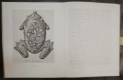 Le mythe tragique de “l’Angélus” de Millet. Interprétation “paranoïaque-critique” par DALI, Salvador - Image 5