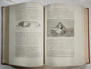 Histoire ancienne des peuples de l'Orient classique. Vol. 1, Les origines, Egypte et Chaldée par MASPERO, Gaston - Image 6