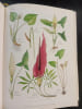LA GRANDE FLORE EN COULEURS DE GASTON BONNIER France, Suisse, Belgique et pays voisins complet 3 Volumes + Index . Gaston Bonnier (Auteur) ; Robert ...