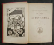Scènes de la vie des animaux. 5e édition par MEUNIER, Victor - Image 2