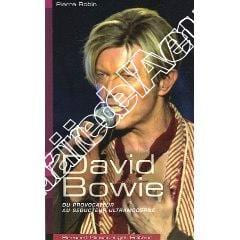 David Bowie, du provocateur au séducteur ultramoderne