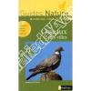 Miniguide tout terrain - Oiseaux des villes. Schulze (Andreas)