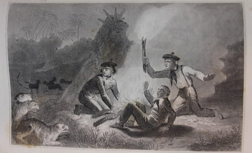 Collection choisie des voyages autour du monde et dans les contrées les plus curieuses du globe depuis C. Colomb jusqu'à nos jours. Contenant la relation complète ou analyse des voyages de C. Colomb, Pizarre, F. Cortez, Anson, Cook, la Pérouse, J. Bruce, etc.