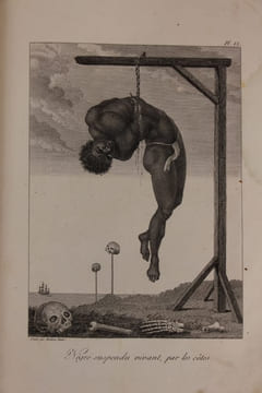 Voyage a Surinam et dans l'intérieur de la Guiane, contenant la relation de cinq années de courses et d'observations faites dans cette contrée ...