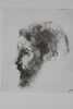 Pierre Bonnard. Etude par laude Roger-Marx. Lettre préface de de Tristan Bernard. Portrait par Odilon Redon. Artistes du livre (les) [Bonnard ...