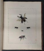 Image de livre