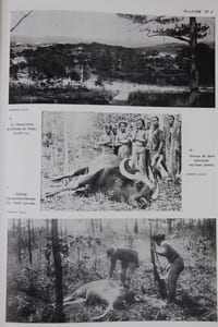 L’Union Indochinoise française ou Indochine Orientale. Régions naturelles et Géographie économique.