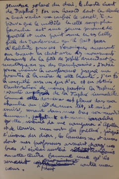 Journal profane d’un solitaire. Fraigneau (André)