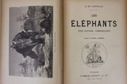 Les Eléphants, état sauvage, domestication. par Cherville (Gaspard de) - Image 2