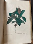 Image de livre