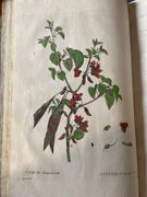 Image de livre